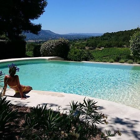 Le Vieux Bistrot Hotel Cabrières-dʼAvignon Екстериор снимка