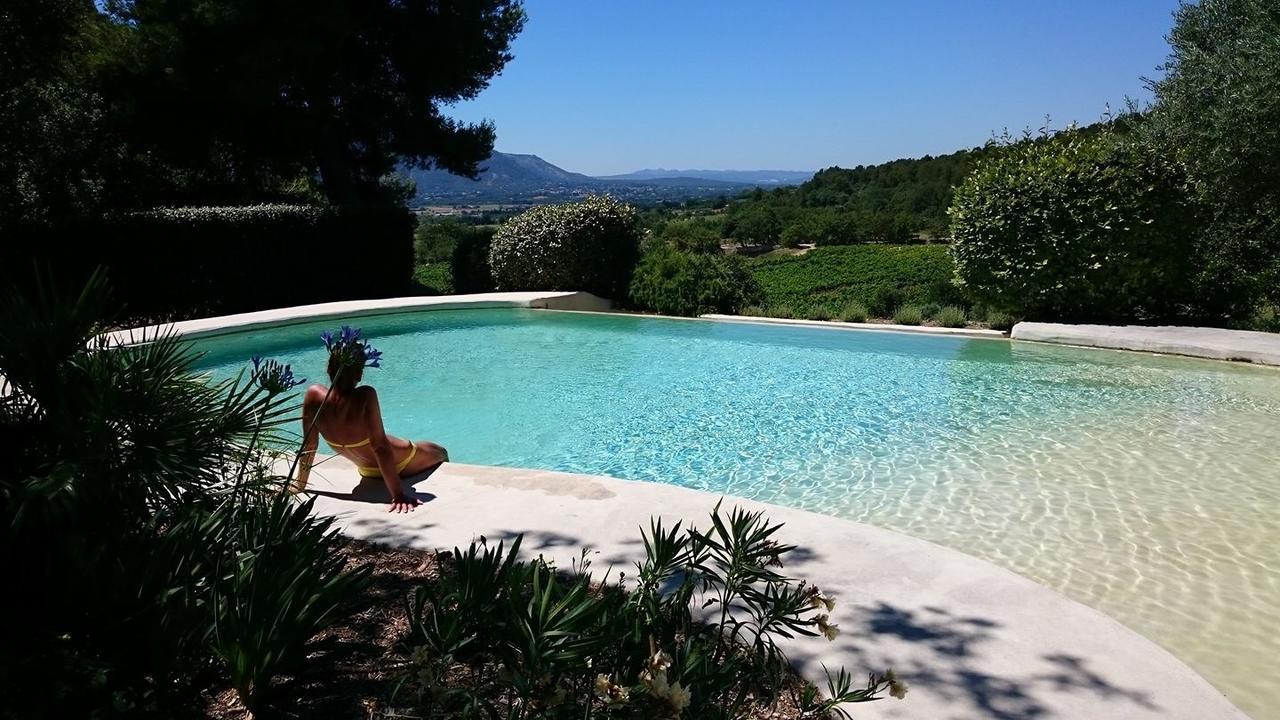 Le Vieux Bistrot Hotel Cabrières-dʼAvignon Екстериор снимка